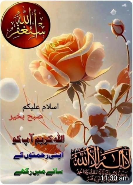 Qari Muhammad Aslam (@qarimuh96695480) on Twitter photo 