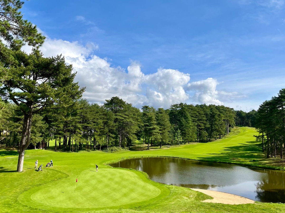 Brian Furness tweet media