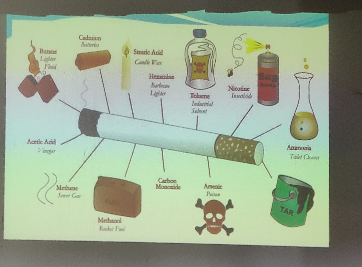 PriyaHarsh_HP's tweet photo. A transformative workshop on
#TobaccoPrevention guidelines for schools by NTCP.

We explored practical strategies to tackle tobacco use among youth, effects of smoking, Tobacco Product &amp; ENDS.

Education &amp; awareness are key to building a healthier future!
#TOFEI
#SayNoToTobbacco https://t.co/uCNHSy1VDG