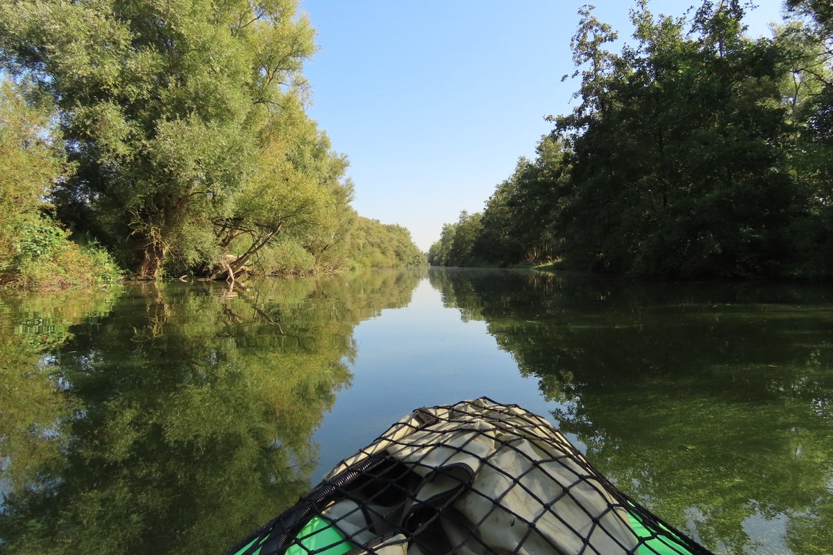 Elsbeth Kwant tweet media