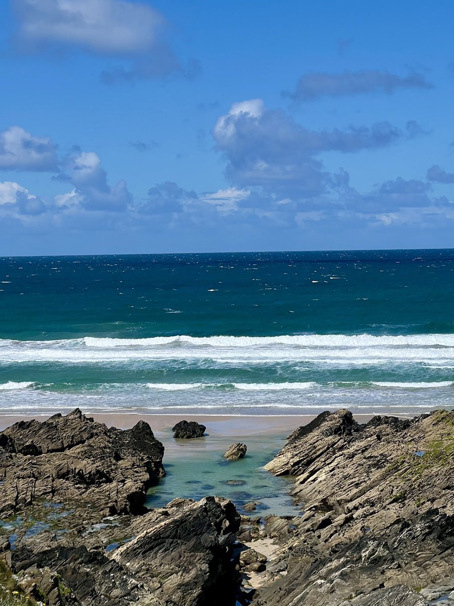 Ellen Danso tweet media