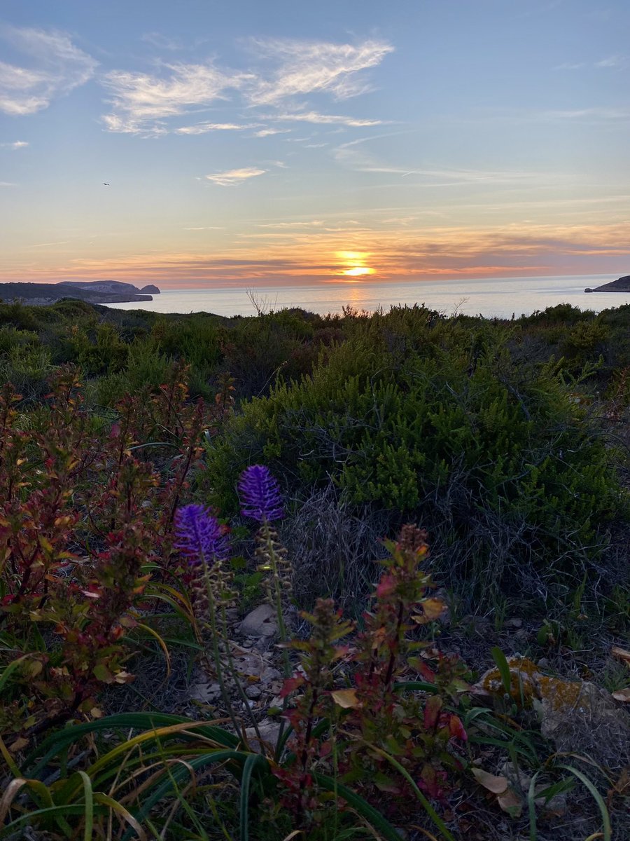 Anna Traveset (@annatraveset) on Twitter photo Glad to show you a 4min video we've done on the <a href="/ERC_Research/">European Research Council (ERC)</a> Project #IslandLife. Hope you like it!
vimeo.com/1009241946?sha… Thanks to <a href="/farvisuals/">FAR VISUALS</a> for their great work! <a href="/ruben_heleno/">Ruben Huttel Heleno</a> <a href="/Isatxu_Donoso/">Isa Donoso @isatxu.bsky.social</a> Glad to show you a 4min video we've done on the <a href="/ERC_Research/">European Research Council (ERC)</a> Project #IslandLife. Hope you like it!
vimeo.com/1009241946?sha… Thanks to <a href="/farvisuals/">FAR VISUALS</a> for their great work! <a href="/ruben_heleno/">Ruben Huttel Heleno</a> <a href="/Isatxu_Donoso/">Isa Donoso @isatxu.bsky.social</a>