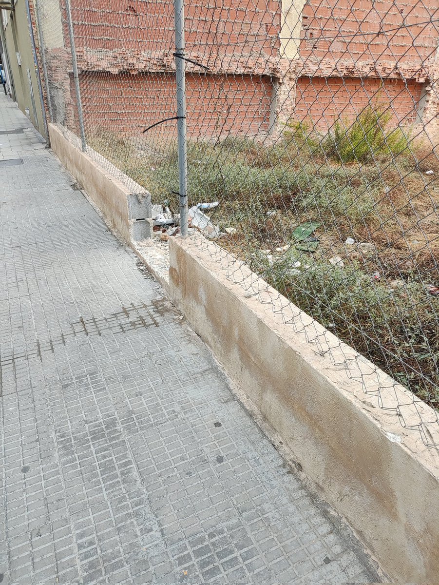 Bárbara Holgado tweet media