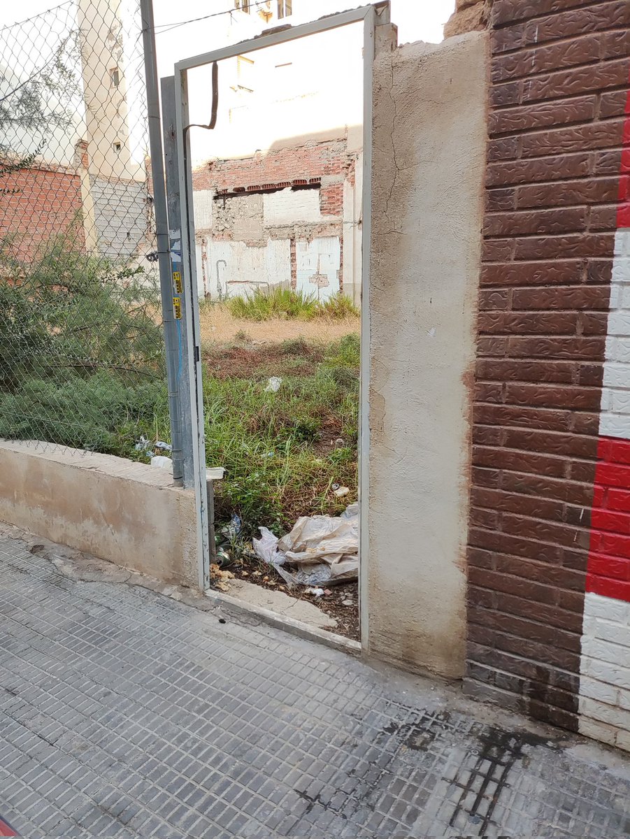 Bárbara Holgado tweet media