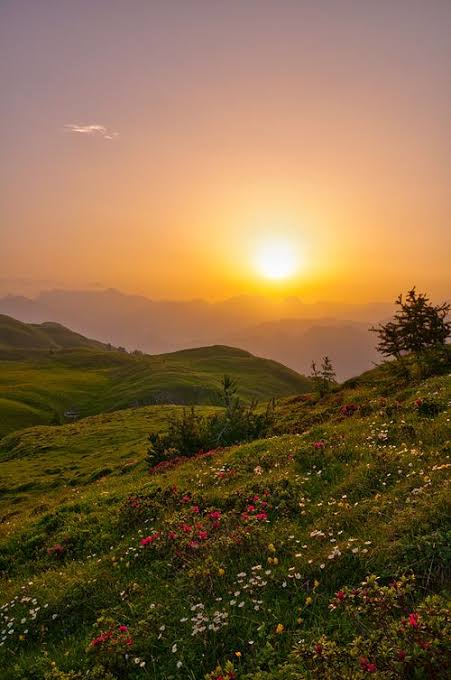 MUHAMMED (@cevr81314) on Twitter photo 