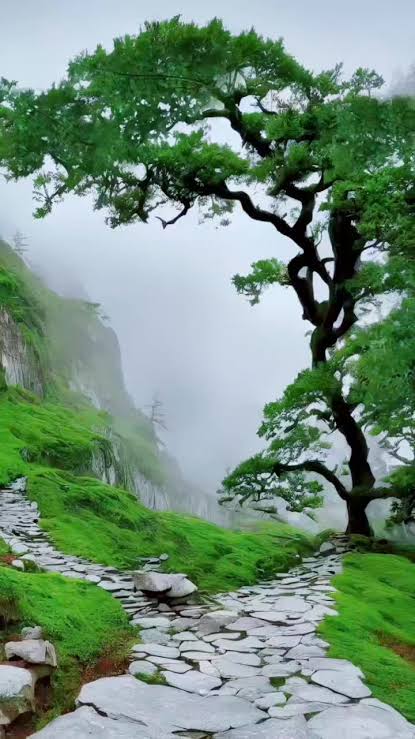 MUHAMMED (@cevr81314) on Twitter photo 