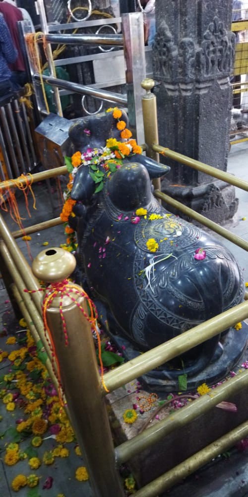 ssc_maker's tweet photo. Mahakal ka vahan Nandi ji ke darshan Karen🚩🚩🚩🚩🚩🚩🚩🚩🚩🚩🛕🛕🛕🛕🛕🤝👇 https://t.co/i0DCkxhExx