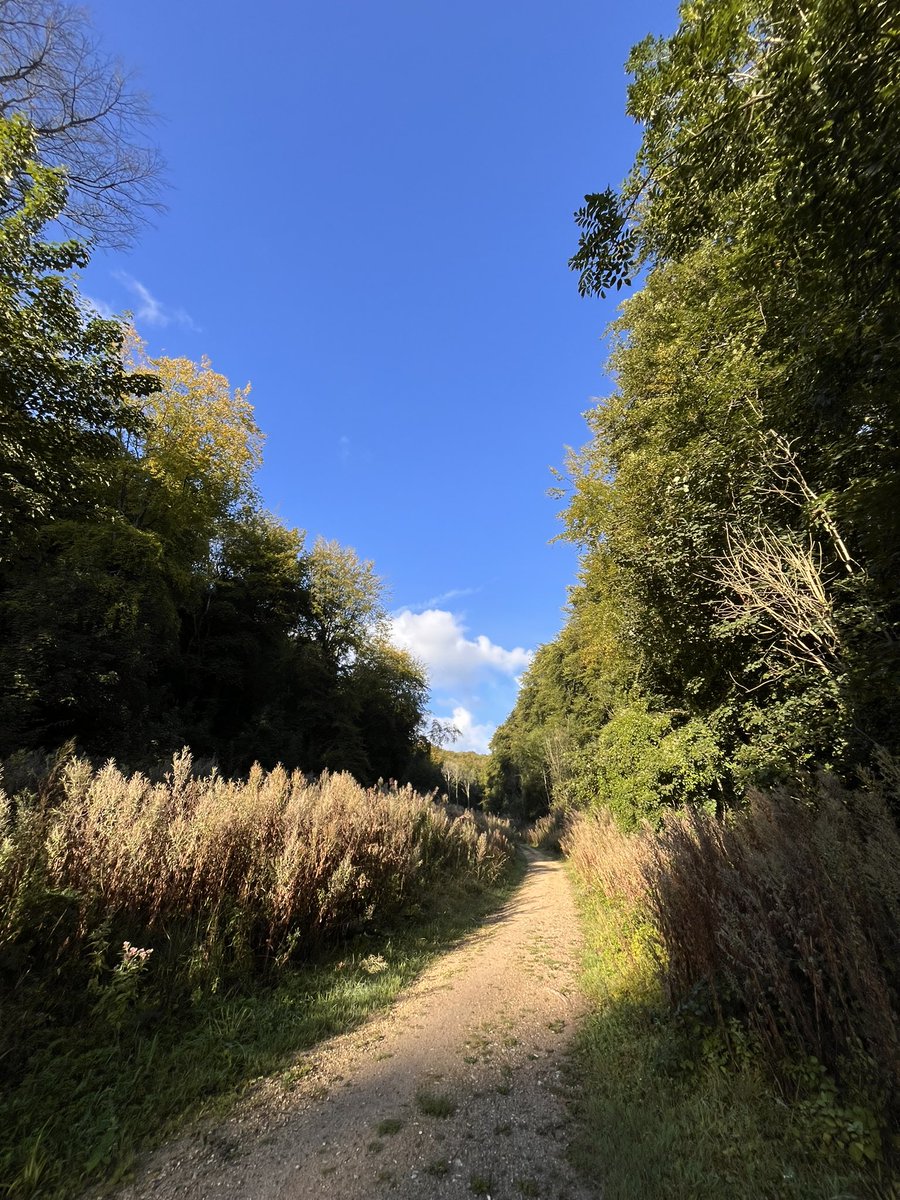 Shaun Cuff tweet media