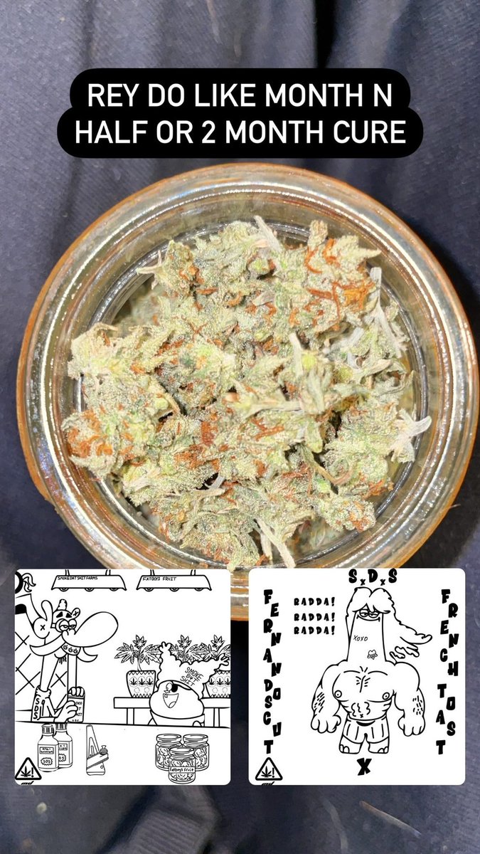 ShawnieSwisher's tweet image. next run my nugs gonna be way bigger, this only my second grow fr chill on me guys😪. learned so much shi this run ik my shi gonna be way better next go. this shit sticky asf and smells crazy yo. Fatboy’s fruit time to cure now, from @gasmanthegascan #SMOKEDATSHIT