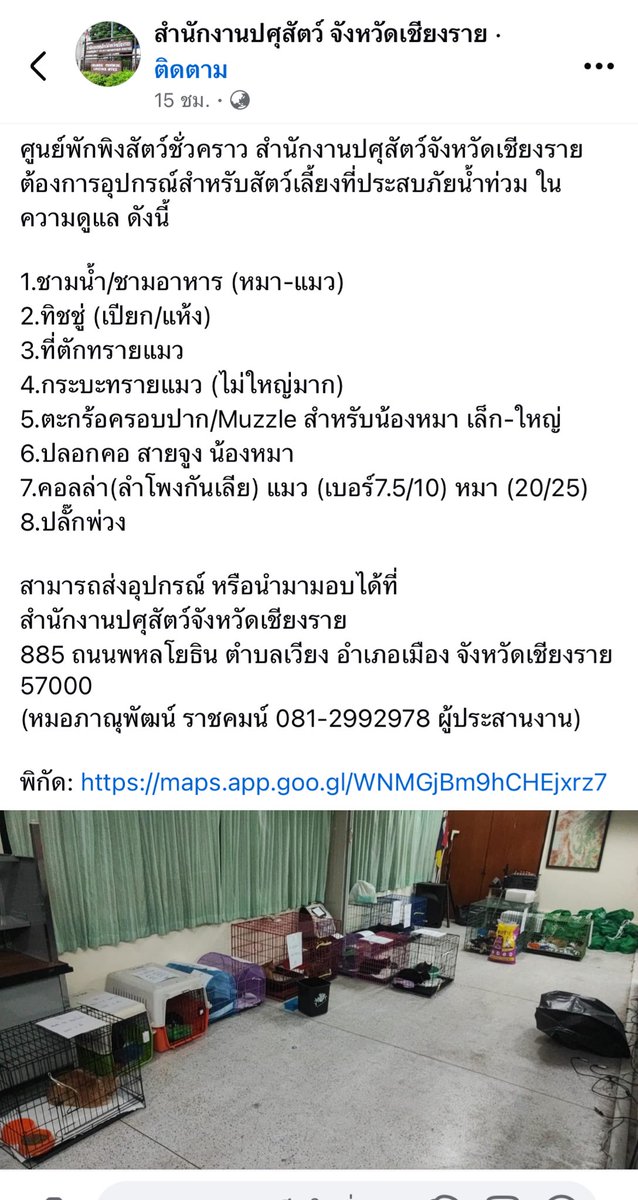 babylego_'s tweet photo. ผิดกฏแจ้งลบได้นะคะ
ฝากประชาสัมพันธ์หน่อยค่ะ
เนื่องจากเหตุการณ์ #น้ำท่วมเชียงราย มีหมา-แมวที่ถูกช่วยเหลือออกมาได้เป็นจำนวนมาก แต่ยังต้องรอเจ้าของมารับ สำนักงานปศุสัตว์เชียวรายขอรับบริจาค ของใช้ต่างๆของน้องๆ ใครมีคอลล่าหรือกระบะทรายที่ไม่ใช้แล้ว ส่งไปบริจาคตามด้านล่างนี้ได้เลยนะคะ https://t.co/x2ez3I6ExL