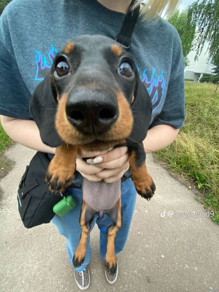 twaniimals's tweet photo. ㅤ https://t.co/LauwIFf1FZ