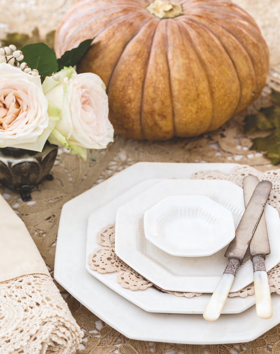 Southern Lady tweet media