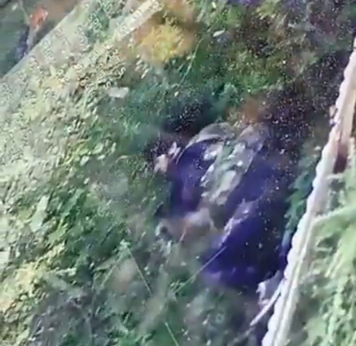 LalChowkJournal's tweet image. #Update : Drone shot of militants in #Tapper #Kreeri #Pattan area in #Baramulla. 

Reportedly 2 militant have been killed and can be seen through Drone.

Operation going on...