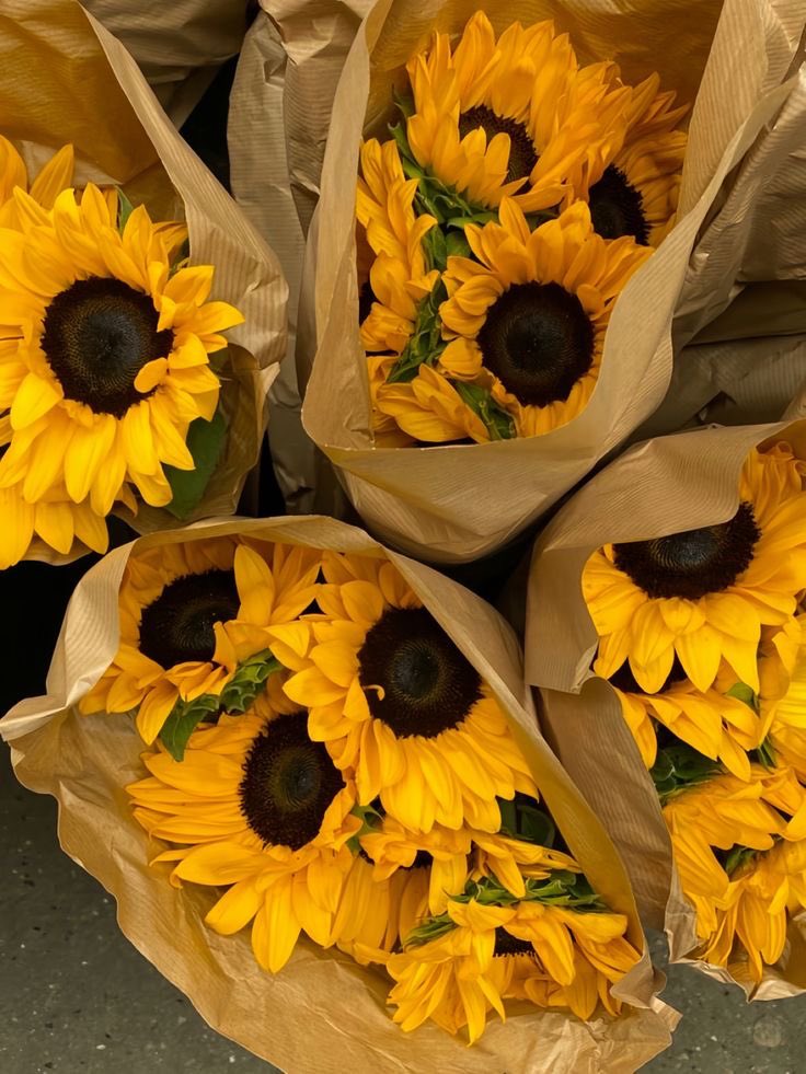 Sunflowers🌻