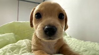 need to call a big strong man a pretty little boy or i won’t make it to see tomorrow