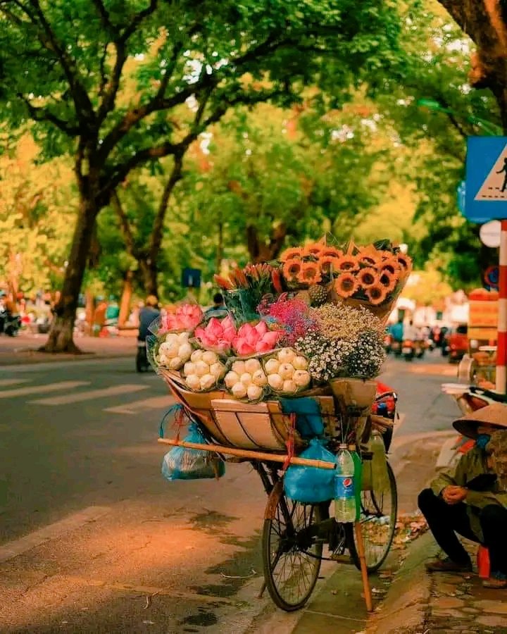 Chandandas04's tweet image. Flower 💝
#Flowers