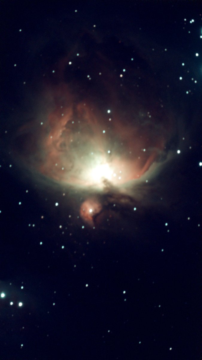 Andy Carroll tweet media