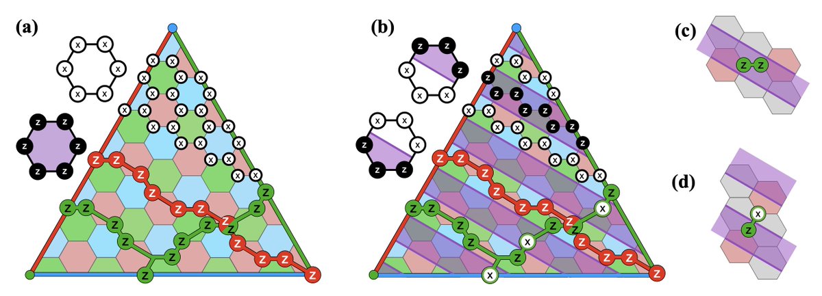 Can we create noise-optimised colour codes similar to the XZZX