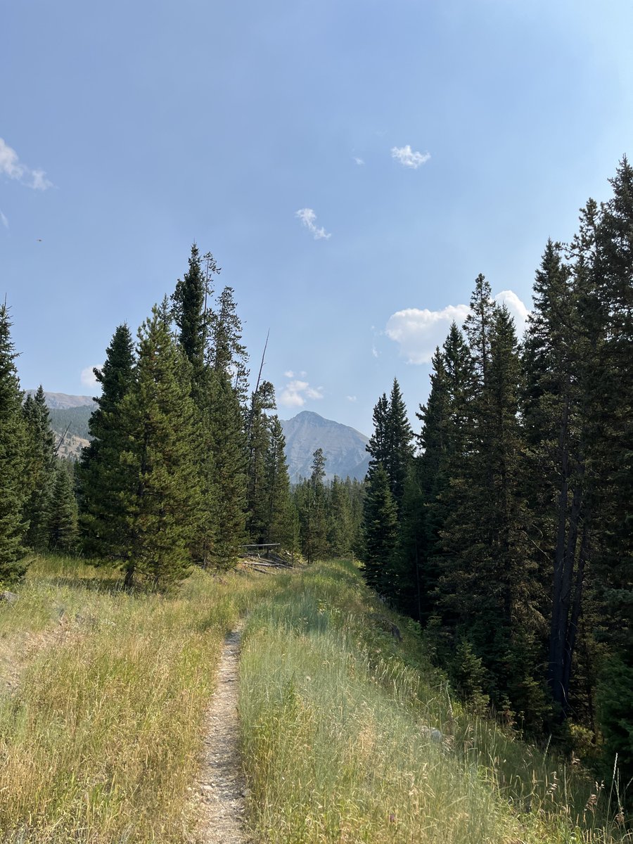 lmjacks2's tweet photo. September 8, 2024 — Sunlight Lake

hiked 9 miles round trip to this beautiful alpine lake in the Crazy Mountains. views from the top were awesome even with the haze—this range is gorgeous and i will definitely be going back! https://t.co/GidenNVhAE
