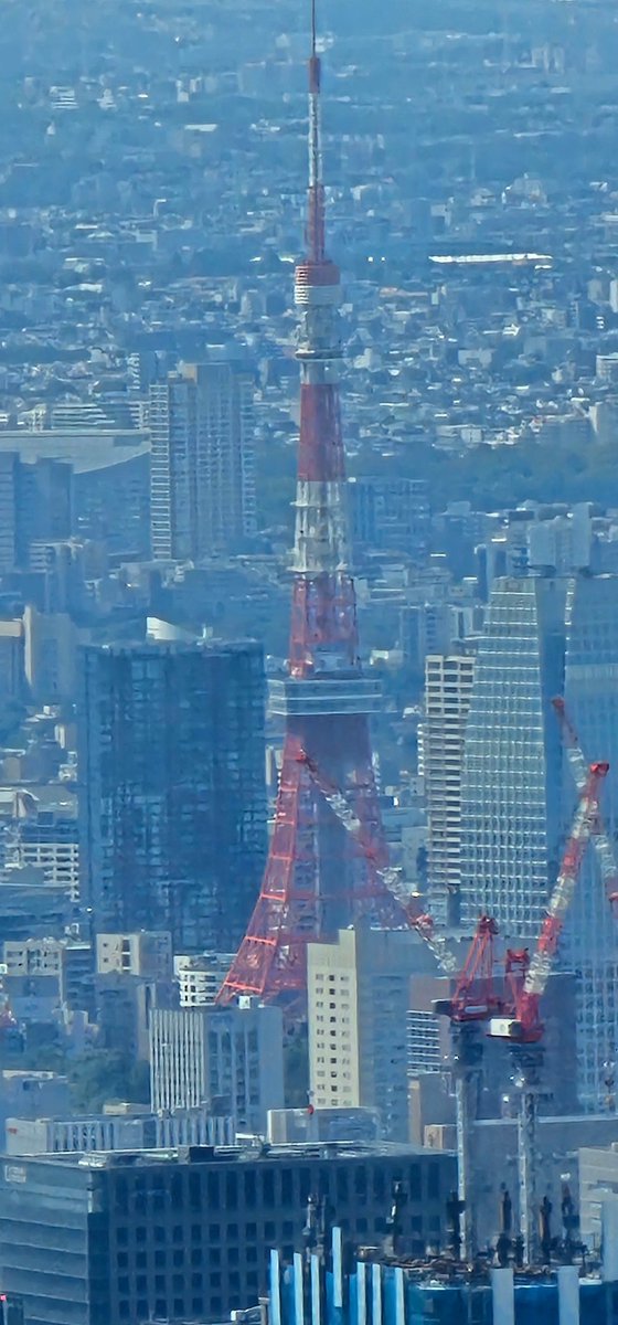 Mt Hood  en.m.wikipedia.org/wiki/Mount_Hood from Sky tree
14,000 + ft  you can see buildings for a long way
