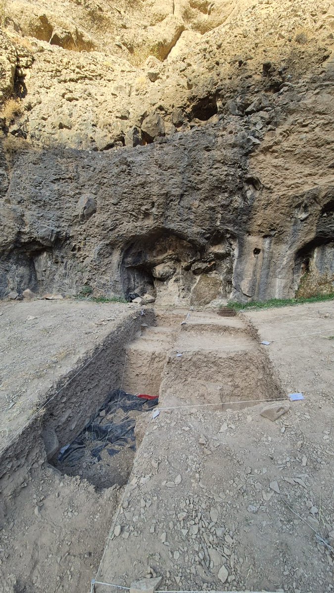 Marion Prévost tweet media