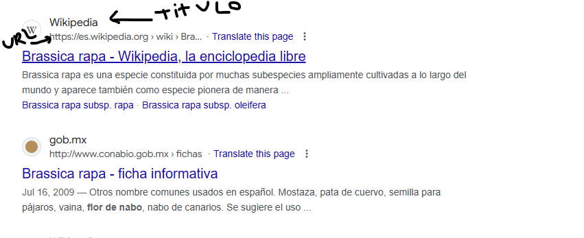 nachoherrera's tweet photo. @CachusoRanti @julitolopez Otro que nunca uso google. Y repito, no existe mas el ministerio del interior, es razonable que tampoco actualicen el certificado del dominio de un ministerio que ya no existe. https://t.co/vylM8iqaop