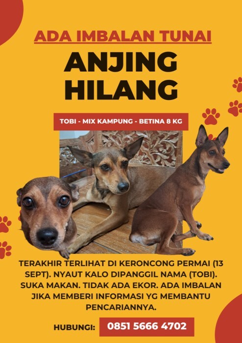petsfess's tweet photo. HILANG - ADA IMBALAN BAGI YG MEMBERI INFORMASI DAN/ATAU MENEMUKAN
Di sekitar Keroncong Permai dan Pondok Makmur (Tangerang Kota). Hilang pada 13 Sept pukul 16.55 WIB.
Mohon bantuannya. Sudah bak denyut nadiku.... Pets! https://t.co/FuYdGGhOXu