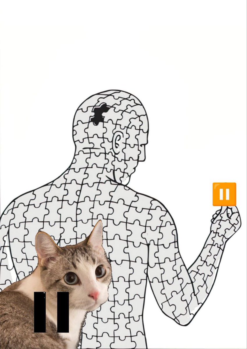 pausecatsolana tweet media