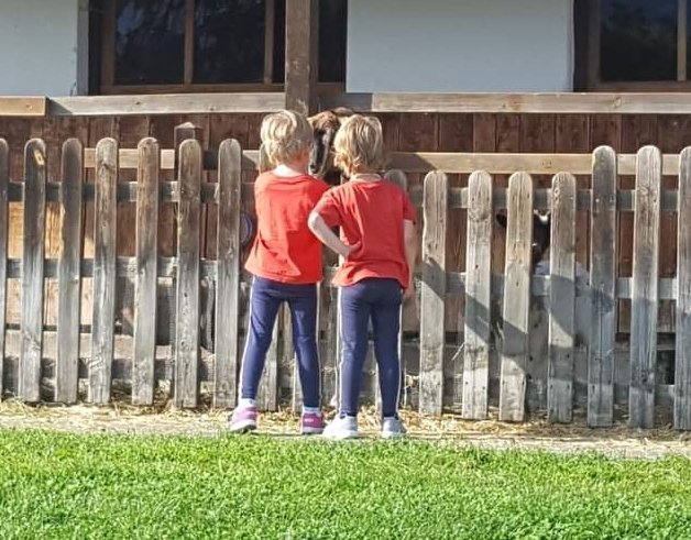 fluglehrer_neu's tweet photo. das waren noch zeiten als wir in der günstigen nebensaison zum #ramsi fahren konnten
#welovetwins #OmOpa 140919 #archiv https://t.co/uWGGYlEqNo