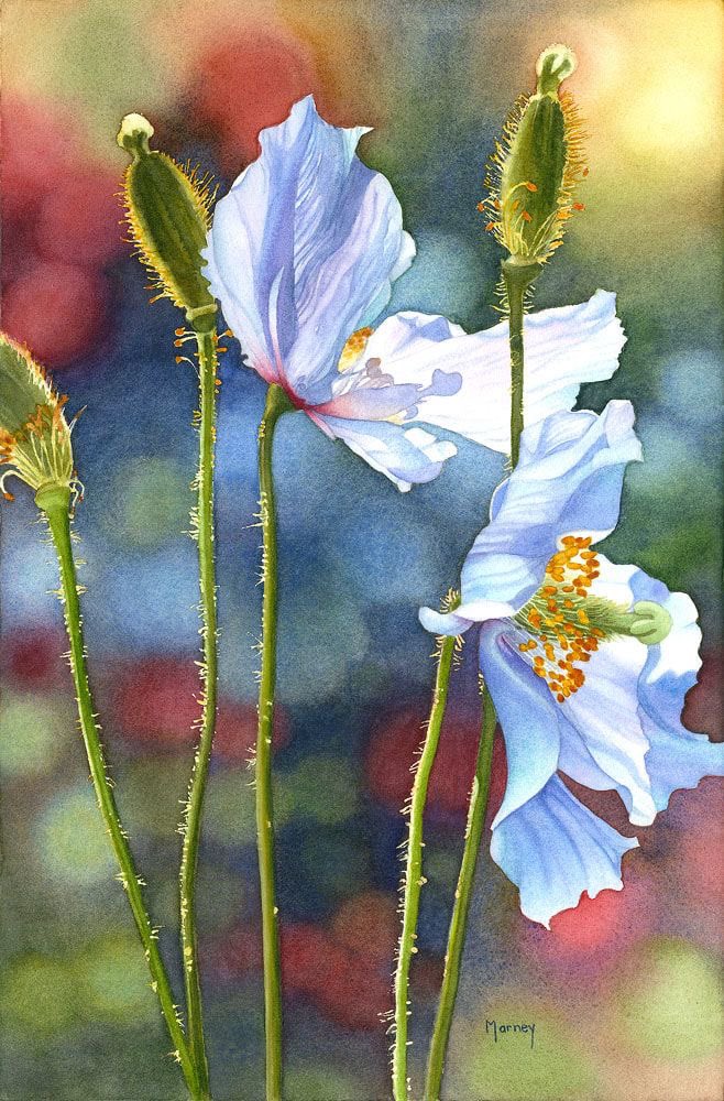 Dr Pooja Garg tweet media