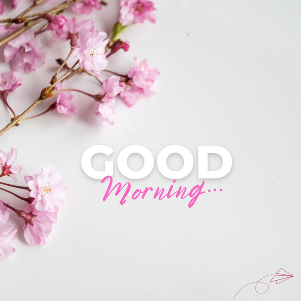 sofiawritten's tweet image. Asslamoalikum 💐
Good morning 🌞