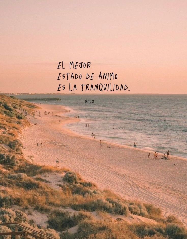 Escrito Ideal (@escrito_ideal) on Twitter photo 