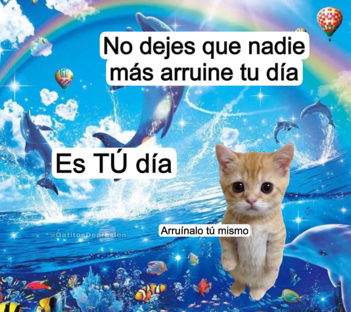 Gatitos Que Curan Tu Depresion tweet media