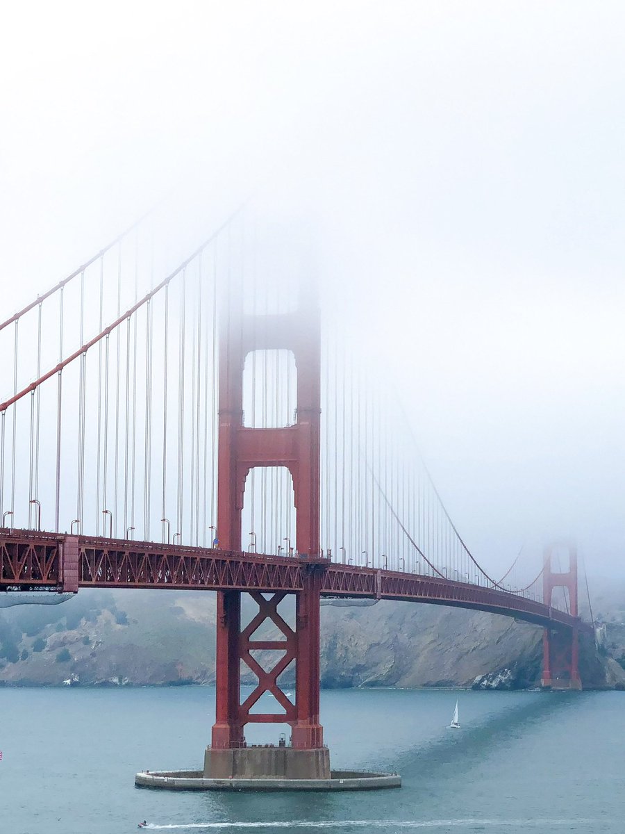 hpphotograf's tweet image. Let’s see your foggy photographs 

#fog #photography