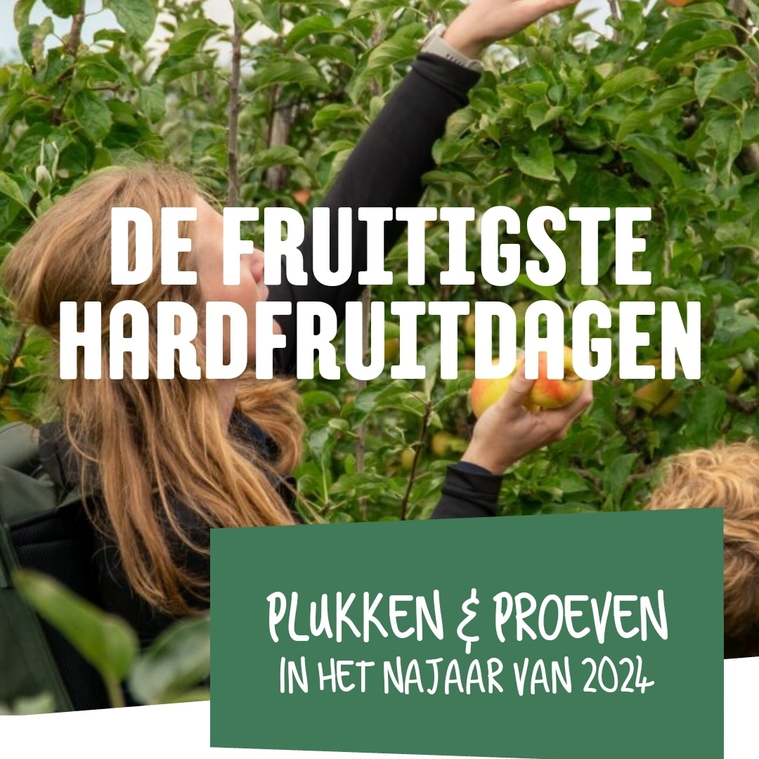Nog geen plannen voor vandaag of daarna? Ga op bezoek of ga zelf plukken bij één van mijn collega's die hun fruitteeltbedrijf open stellen. Ik doe helaas niet mee (en zie eerdere post als Zelfplukboomgaard  van afgelopen week). Info: defruitigste.nl
