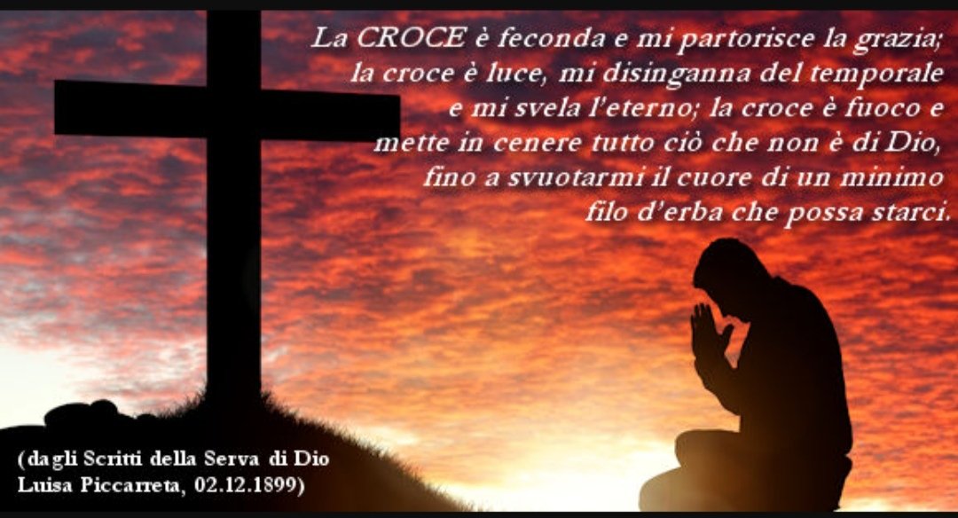 Nel Divino Volere, Signore Insegnaci a rimanere crocifiggere la nostra volontà umana, per dare vita alla Tua Divina Volontà ad operare in noi, Fiat 🙏