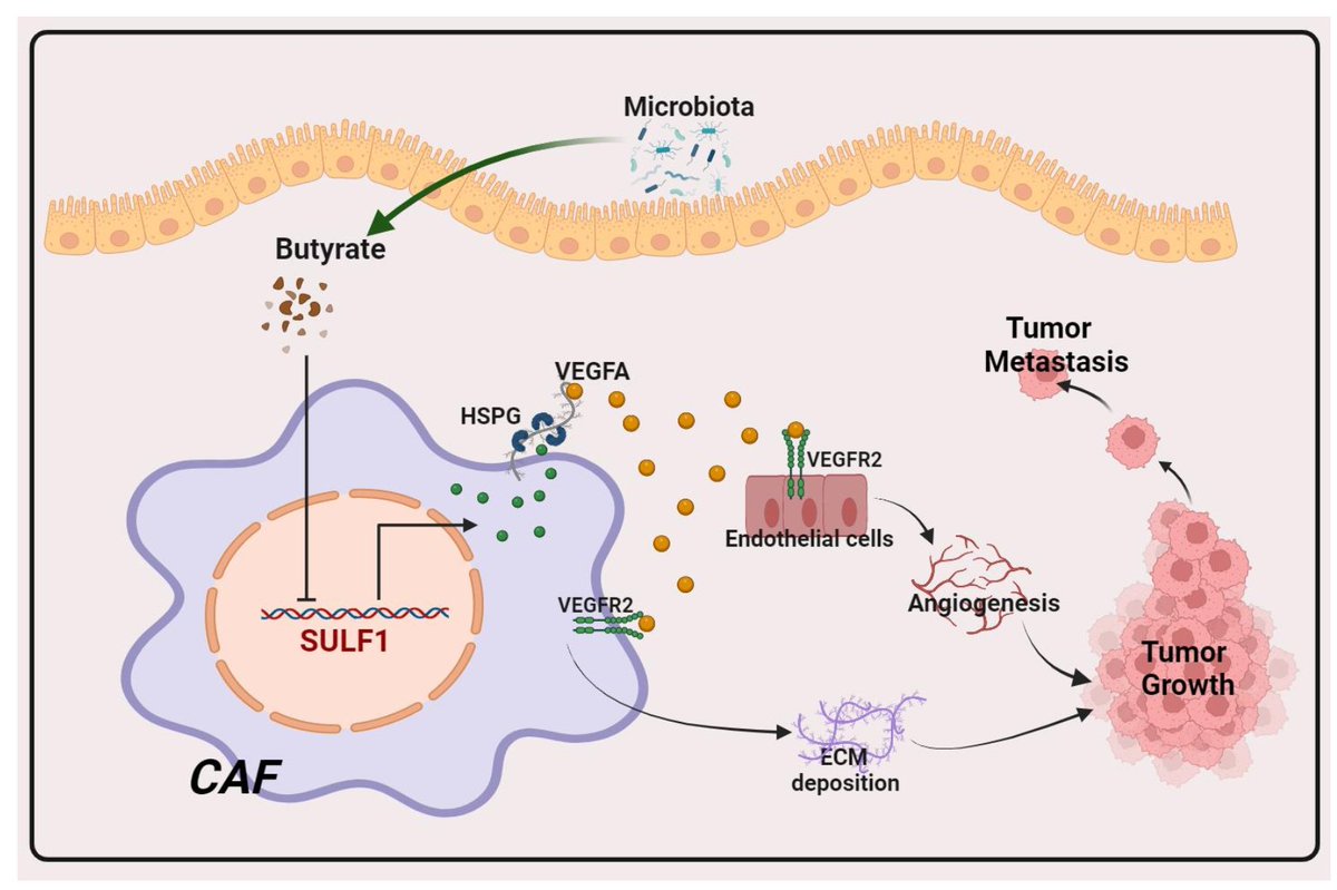 Junbin Qian tweet media