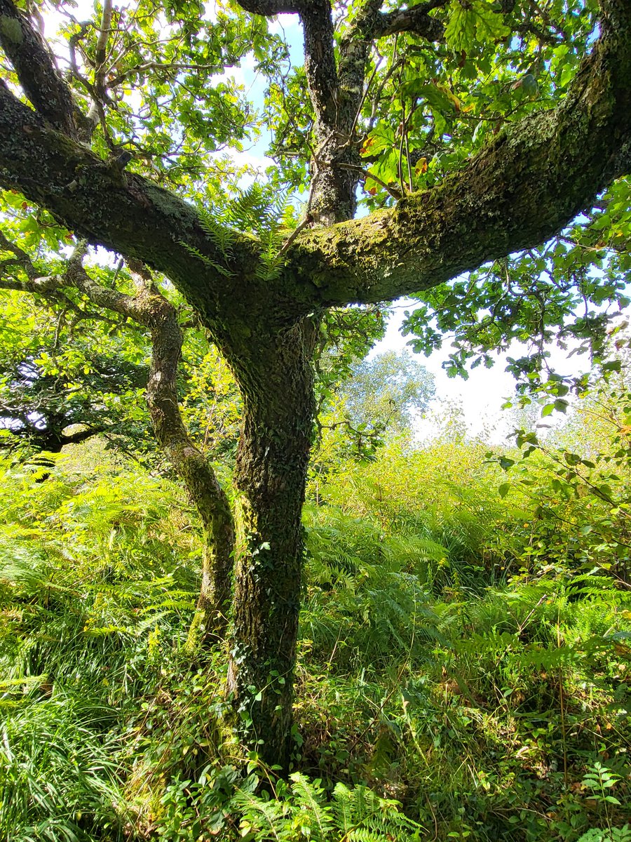 Eoghan Daltun 🌍 tweet media