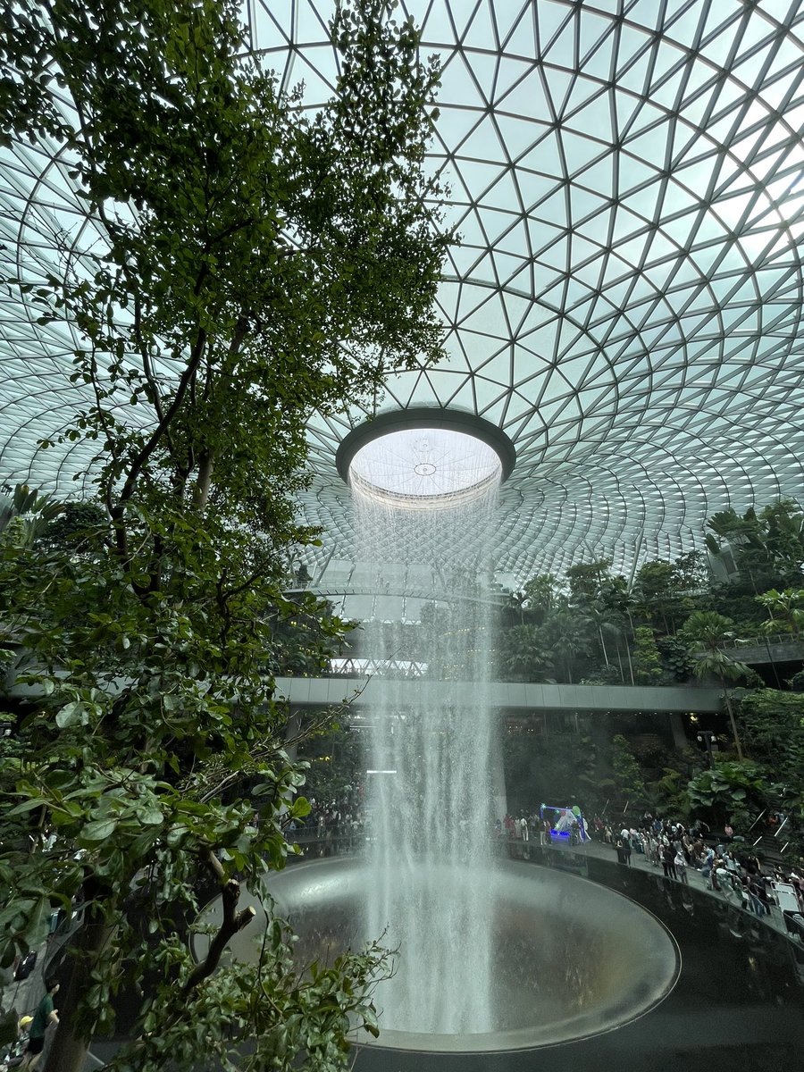 Dr. Bluechip tweet media