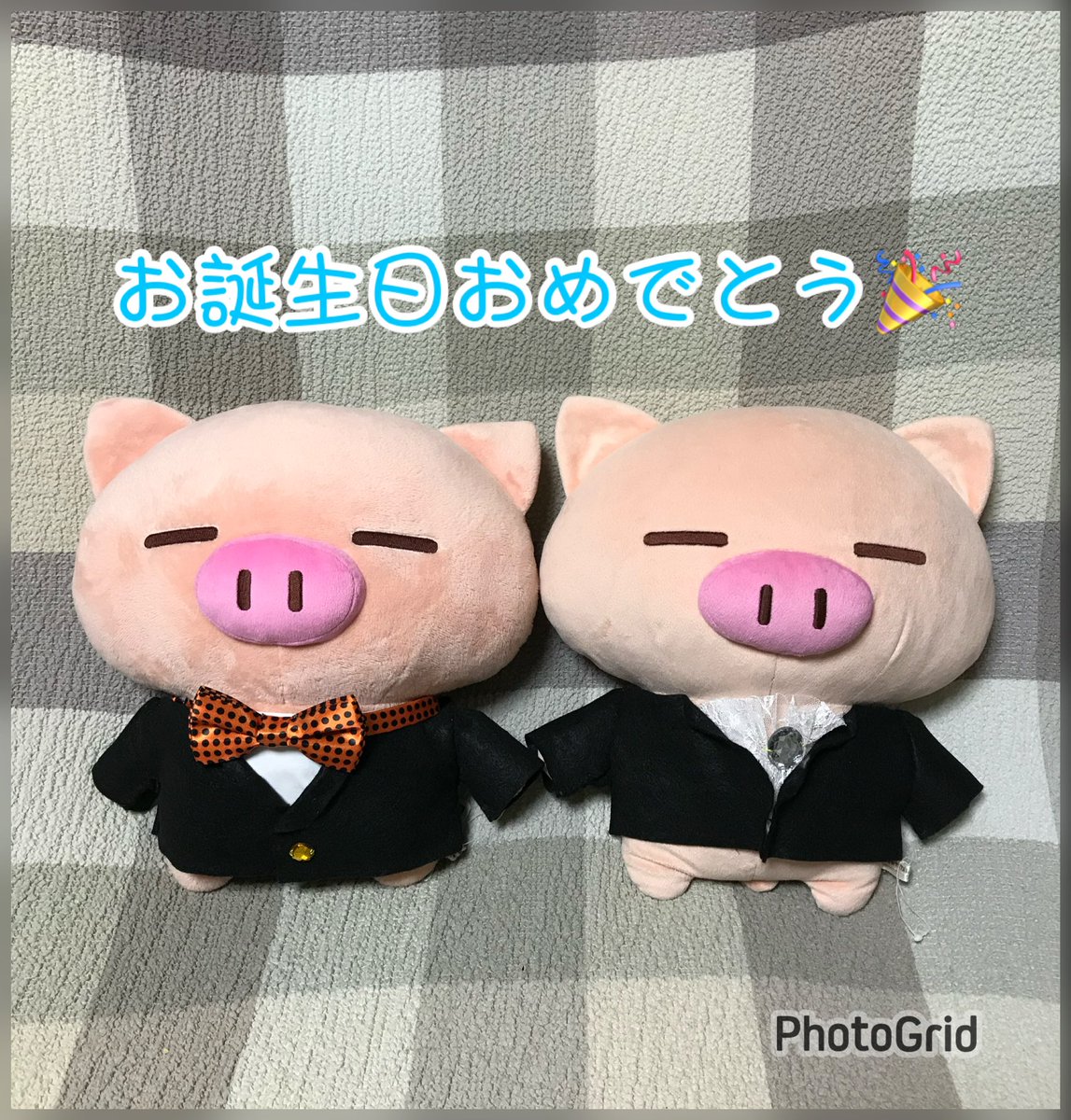 osafWikmbb5VVnK's tweet image. 【ハッピーバースデー】

ぶたた、お誕生日おめでとう🎉
親玉さま、ぶたたに出会わせてくれてありがとうございます😊

これからもずっと一緒にいてね、ぶたた😊

#ぶたた
#お誕生日