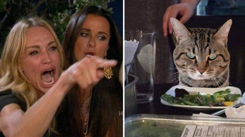 Who’s the real name here ? We know 😏

$TORO