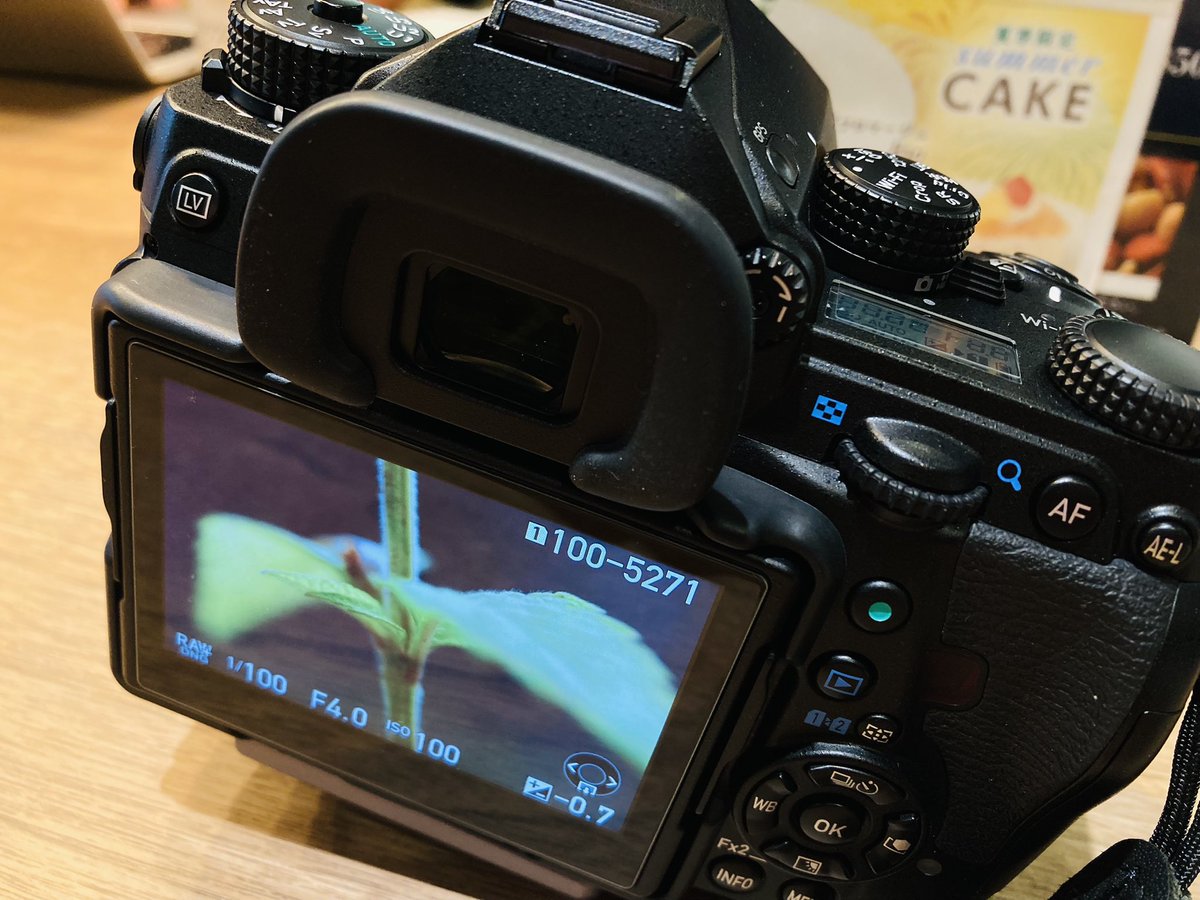 synb's tweet image. センサーにゴミが入るからレンズ交換なんてするもんじゃない。