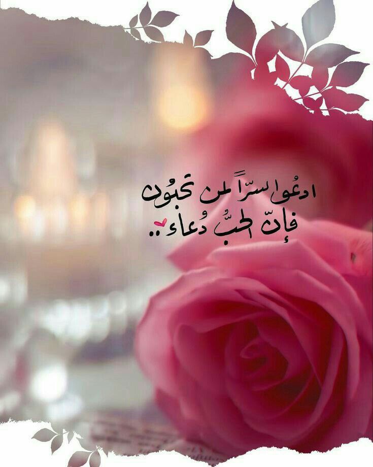 #صباح_الاشياء_المشرقة
#انغام_في_جده