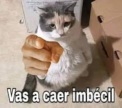 Ahora si Sian #LaCasaDeLosFamososMx #LaCasaDeLosFamososMexico #LaCasaDeLosFamososMx2 #LCDLFMX2 #LCDLFMX