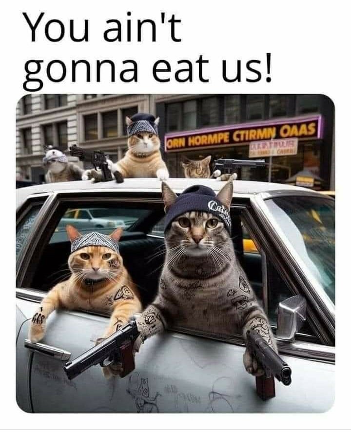 NEVER mess with The Meowfia 
🐈🐈🐈🐱🐱🤘🤘✌✌💜💜💜💜🤦‍♀️🤦‍♀️🤣🤣🤣🤣🤣