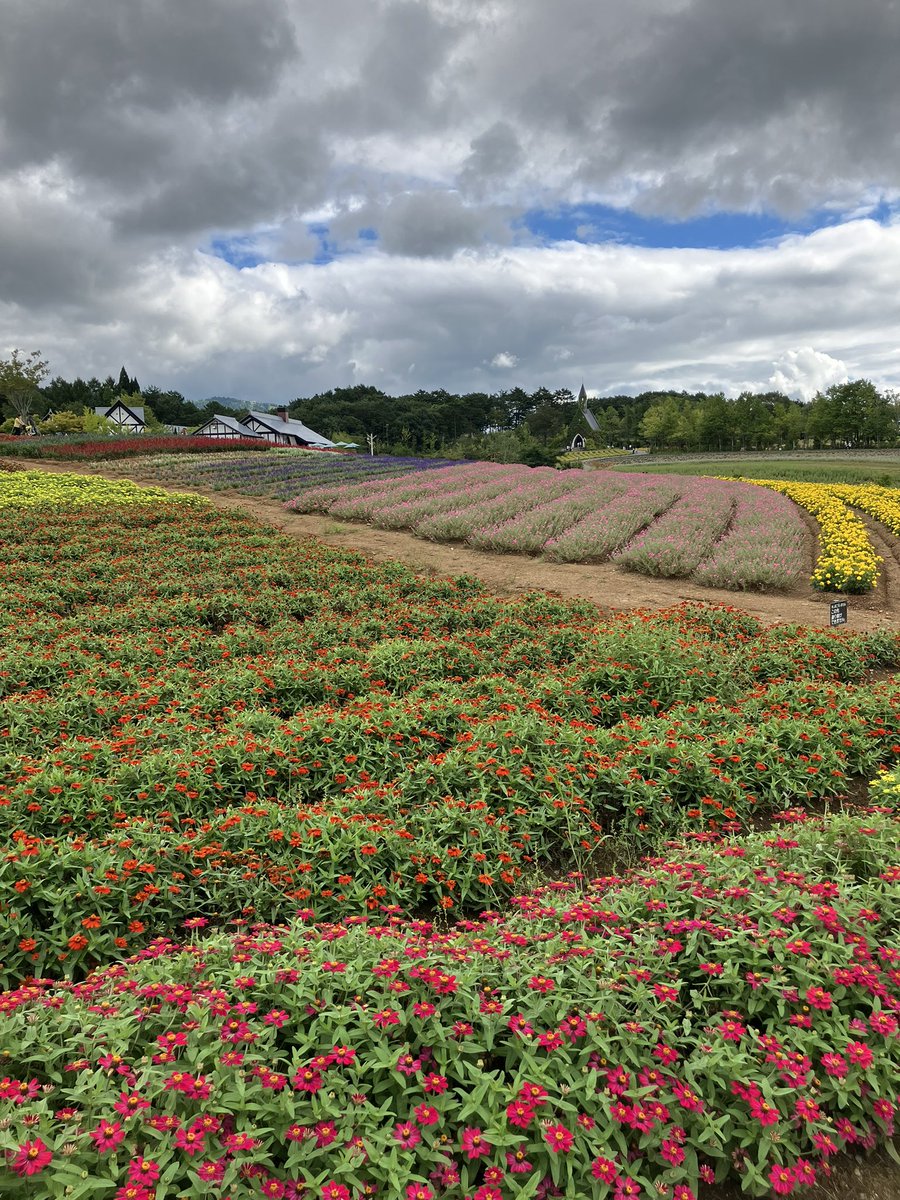 omitaroo_'s tweet photo. ぼっか https://t.co/f71Os50Rbt