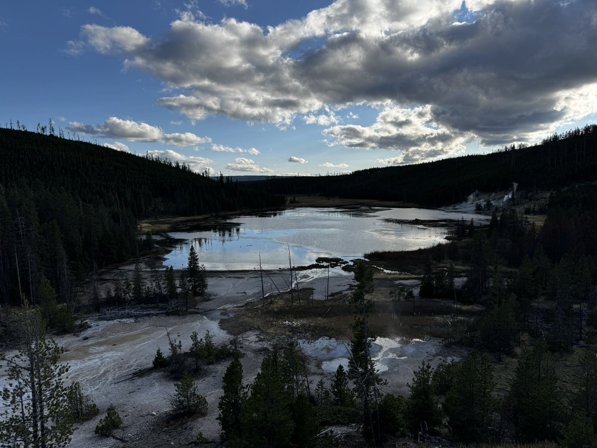 Remkus de Vries tweet media