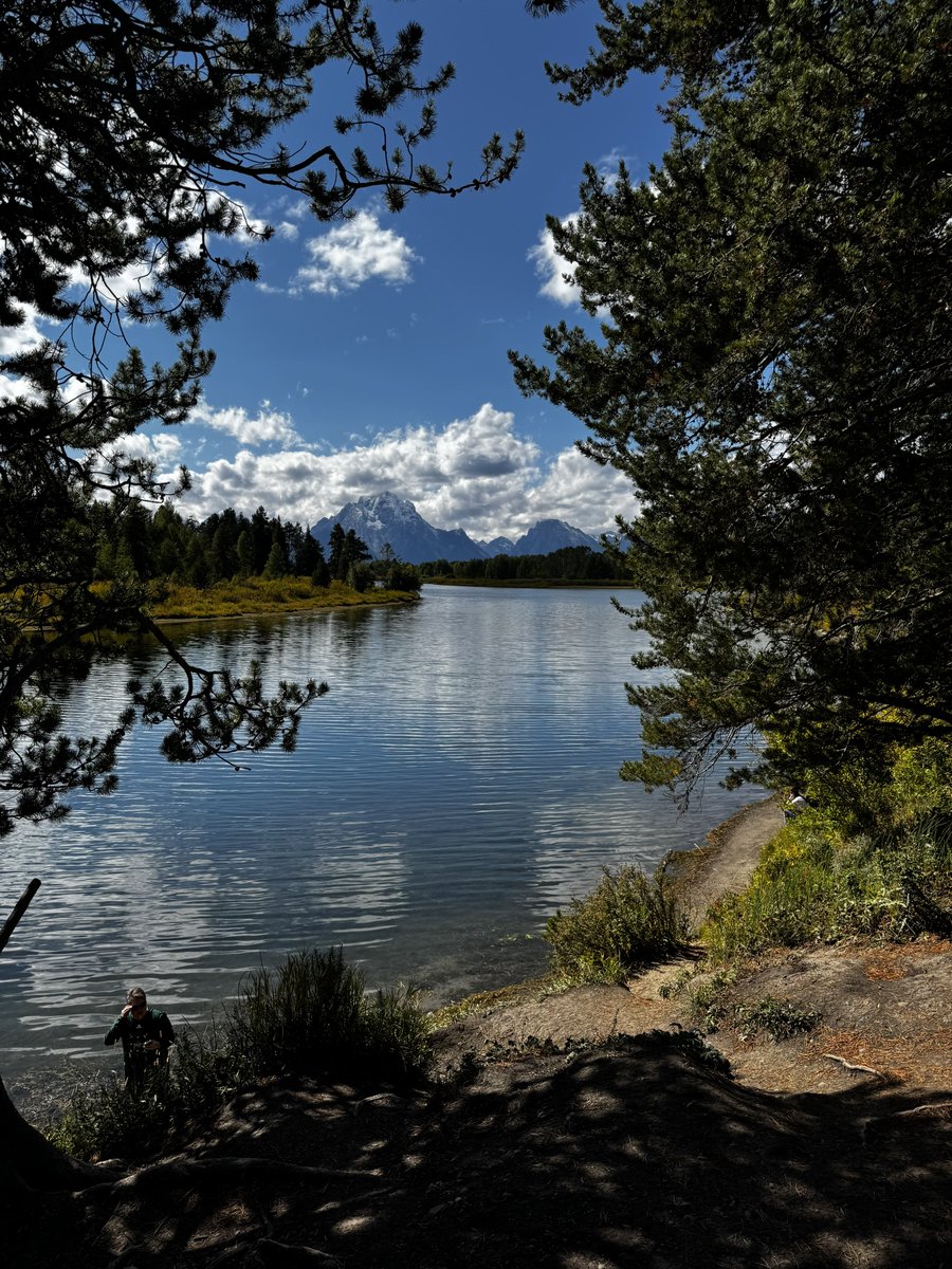 Remkus de Vries tweet media