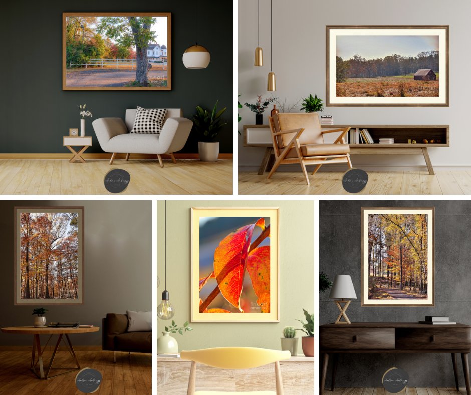 andreaanderegg's tweet photo. Transform your space with #seasonal #art!
Explore #FallWallArt here: https://t.co/MbGD4i7Wam
#FallDecor #ArtSale #AutumnStyle #FallVibes #fall #SeasonalDecor #InteriorDesign #buyart https://t.co/zJs67YVifq