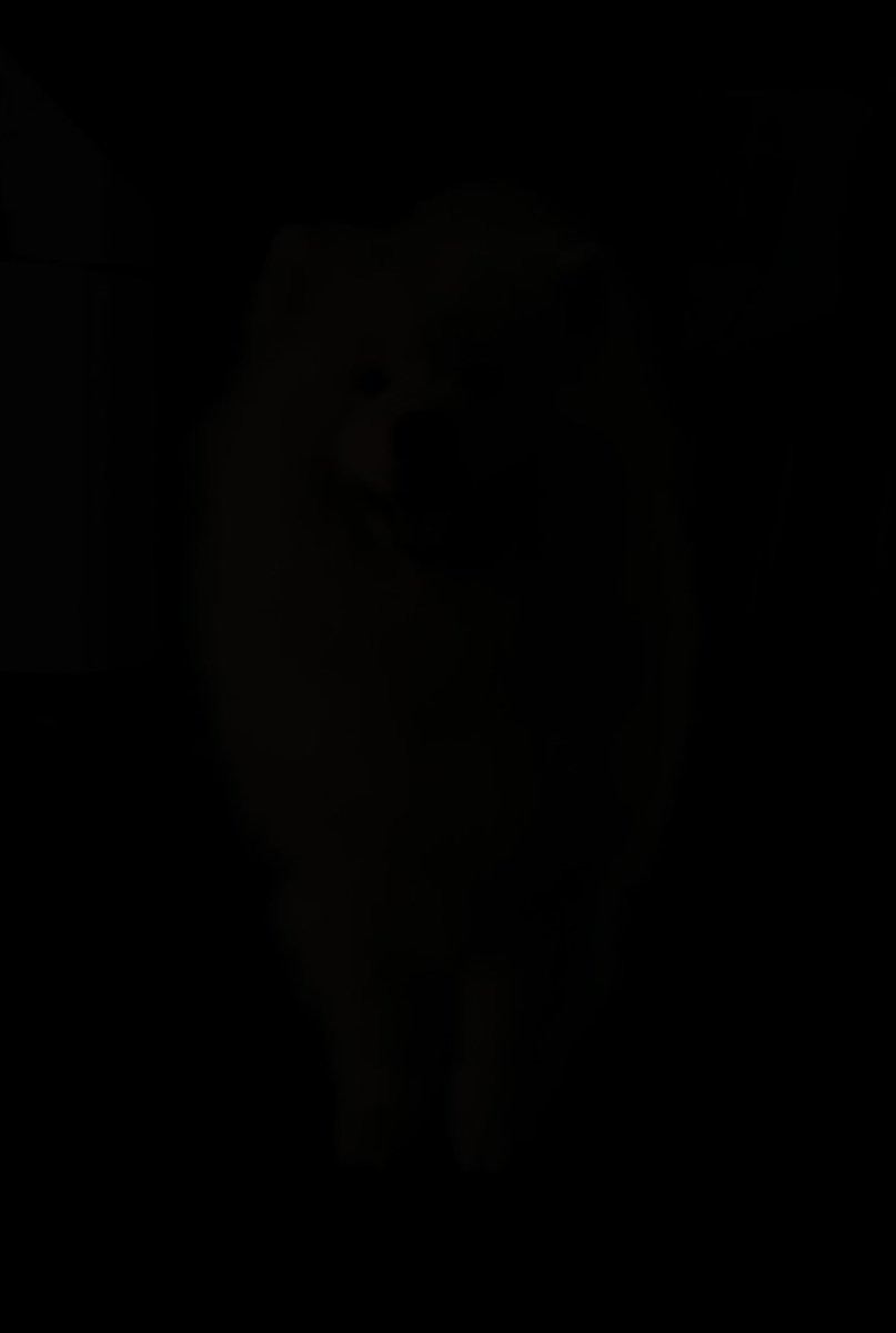 wayneradiotv's tweet photo. There’s something out there… in the dark… https://t.co/M8Dyli6eNi